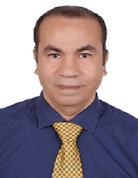 Mr. Seifeldin Mosallam