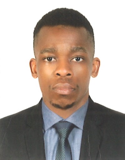 Mr. Prince David Okechukwu 