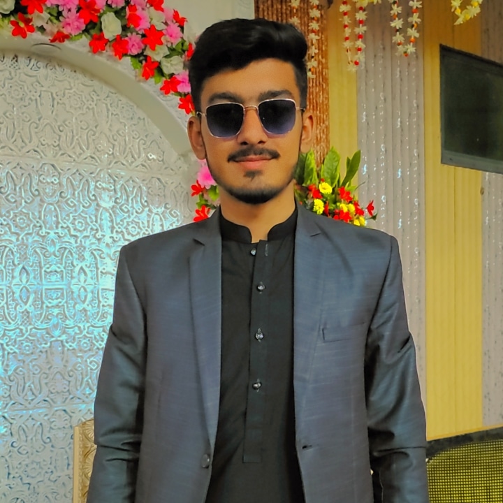 Mr. Malik Shabbir  Ahmad 