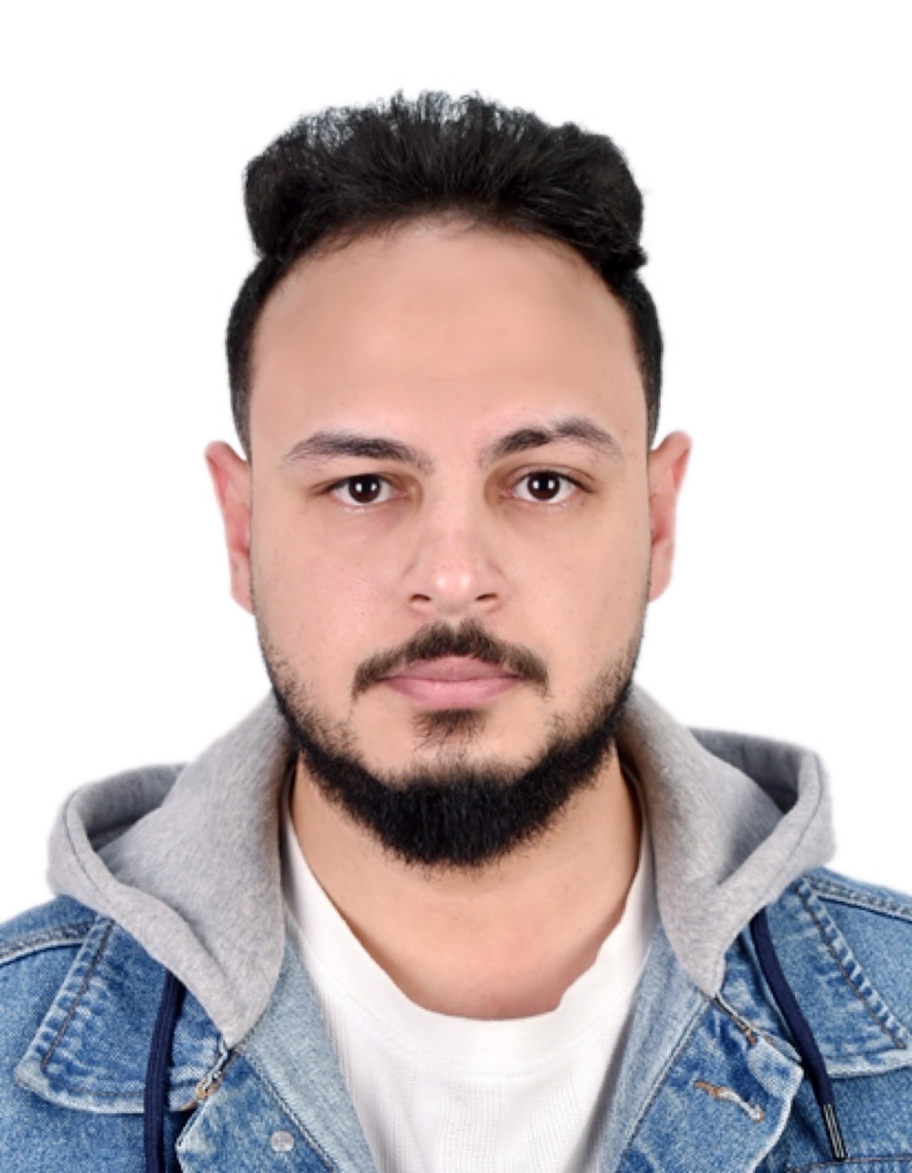 Mr. Abdelmoaty Aref Mahmoud Aref